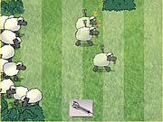 Play Sheep dash Game
