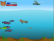 Play Fish catcher Game