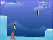 Penguin rescue