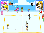 Play Beach volleyball Game