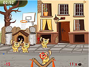Play Kittens Game