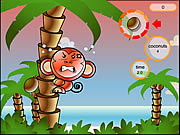 Play Cocoon island Game