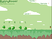 Play Bunnyboom Game