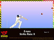 Play Top spinner cricket Game
