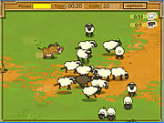 Play Kaban sheep Game