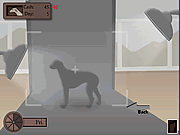 Play Greyhound tycoon Game
