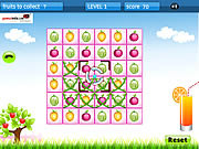 Play Fruity square Game