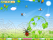 Play Spider hunt Game