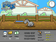Play Horse rancher Game