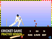 Play Cricket game Game