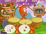 Play Squirrel nutty treats Game