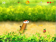 Play Running hamster Game