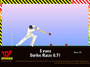 Play Cricket Game