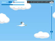 Play Seagull flight Game