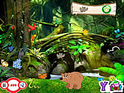 Play My jungle Game