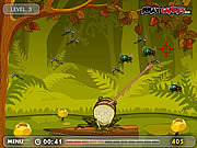 Play Hungry frog Game