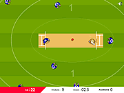 Play Cricket world cup 2011 Game