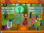 Play Sisi flower stand Game
