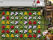 Play Flower mania Game