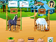 Play Horsecare apprenticeships Game