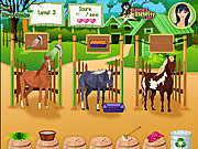 Play Horse care apprenticeships Game