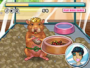 Play My tiny hamster Game