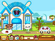 Play Daily pet city Game