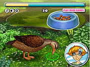 Play Lucky duck Game