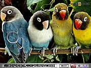 Play Hidden alphabets-parrots Game