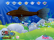 Play Aquarium fish decor Game