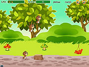 Play Family of squirrels Game