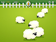 Play Count the sheep Game