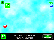 Play Cookie chase Game