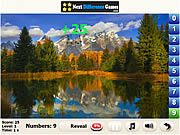 Play Green meadow Game
