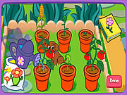 Play Doras magical garden Game