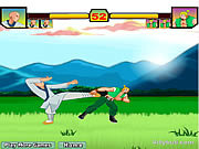 Play Red blood fighter Game