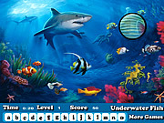 Play Fish hidden letters Game
