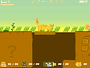Play Orange cat adventure Game