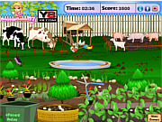 Play Backyard form cleanup Game