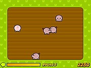 Play Pushy porkers Game