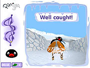 Play Crazy sledging Game