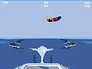 Play Wakeboarding Game