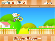 Play Sheep racer Game