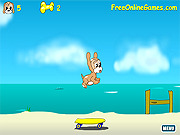Play Maxims seaside adventure Game