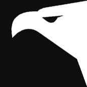 Fly Studios Games Studio Games - Y8.com
