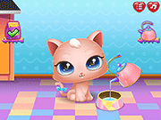 Cute Kitty Care - Skill - Y8.COM