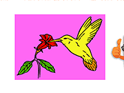 Bird Coloring - Fun/Crazy - Y8.COM