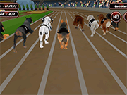 Crazy Dog Racing Fever - Sports - Y8.COM