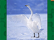 Graceful Swans Puzzle - Skill - Y8.COM