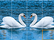 Swans Slide - Thinking - Y8.COM
